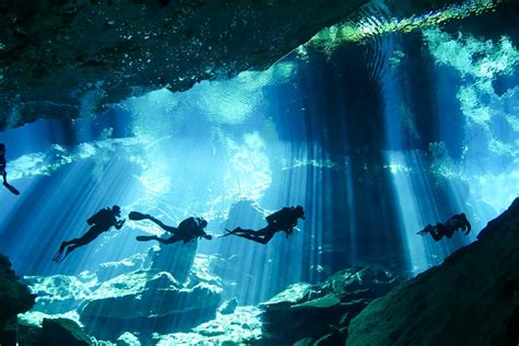curacao diving reviews|Scuba Diving in Curacao – Ultimate Guide (With Map).